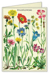 מארז 8 כרטיסי ברכה : Wildflowers