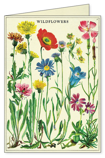מארז 8 כרטיסי ברכה : Wildflowers