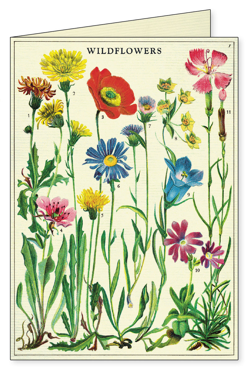 מארז 8 כרטיסי ברכה : Wildflowers