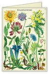מארז 8 כרטיסי ברכה : Wildflowers