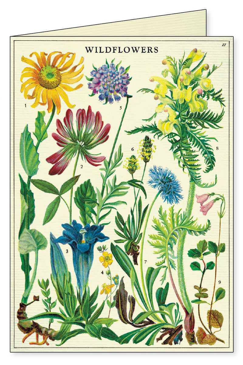 מארז 8 כרטיסי ברכה : Wildflowers
