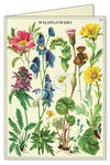 מארז 8 כרטיסי ברכה : Wildflowers