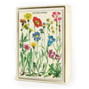 מארז 8 כרטיסי ברכה : Wildflowers
