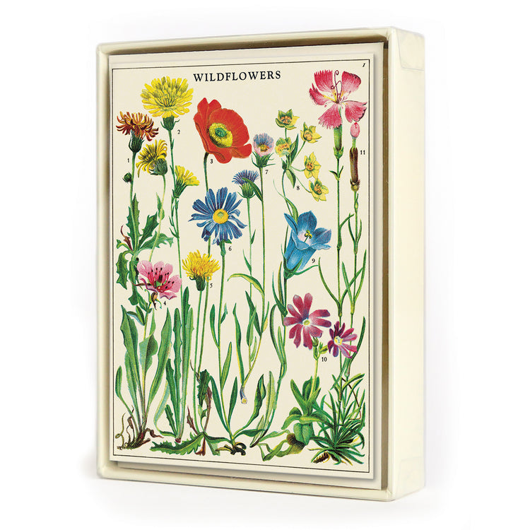 מארז 8 כרטיסי ברכה : Wildflowers