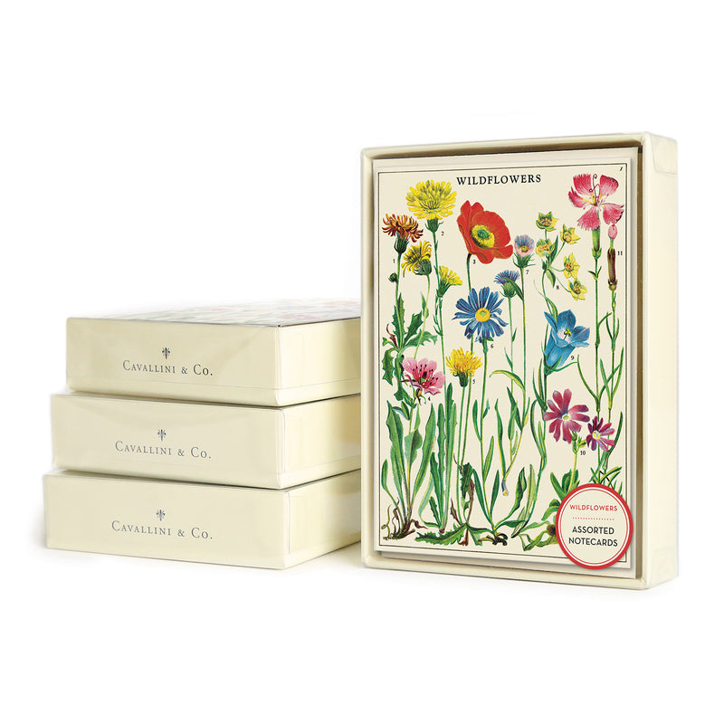 מארז 8 כרטיסי ברכה : Wildflowers