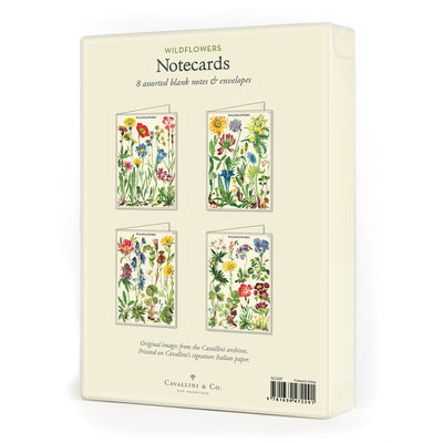 מארז 8 כרטיסי ברכה : Wildflowers