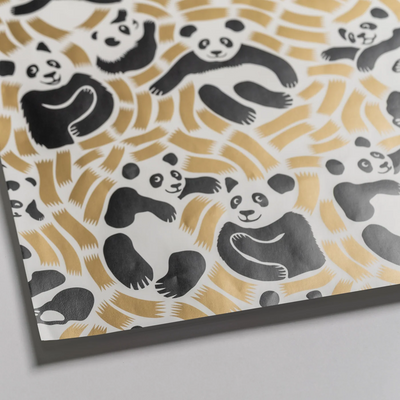 נייר עטיפה: Pandis