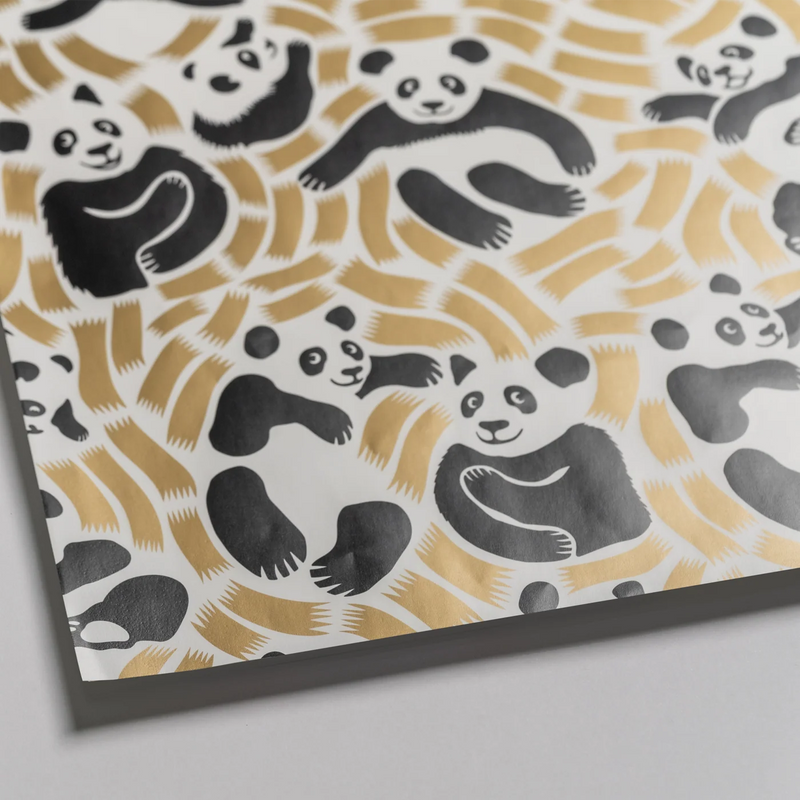 נייר עטיפה: Pandis