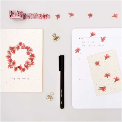 מארז עטים: Pigment Liner