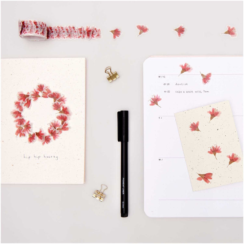 מארז עטים: Pigment Liner