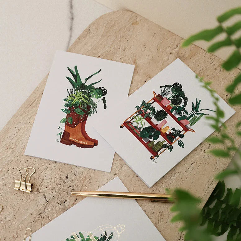 כרטיס ברכה: Plant Shelf