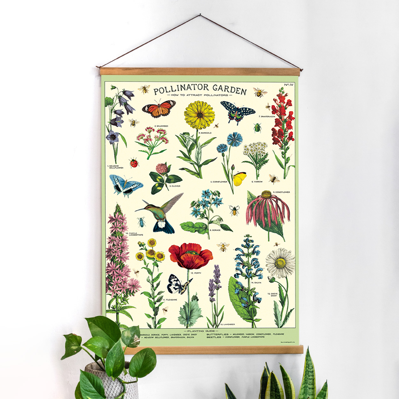 פוסטר: Pollinators