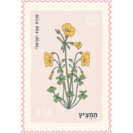 גלויה :  Bermuda Buttercup