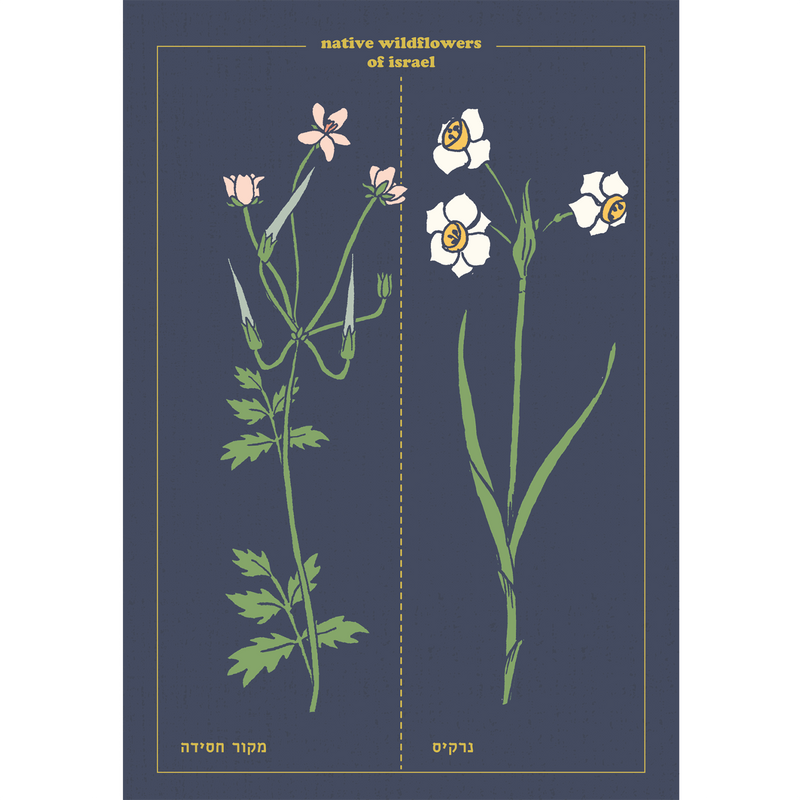 גלויה : Botanical Chart, 3