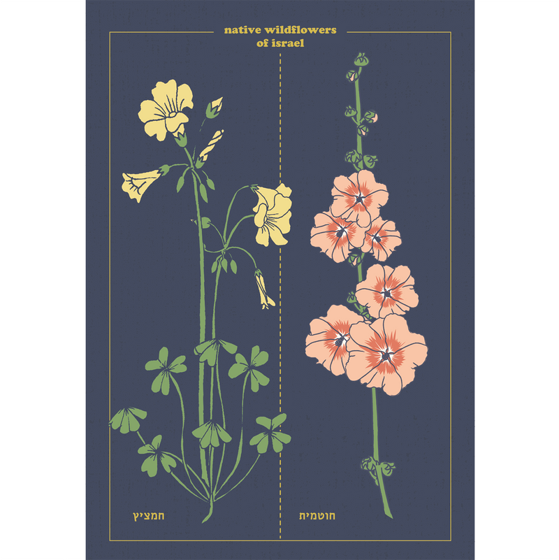 גלויה : Botanical Chart, 4