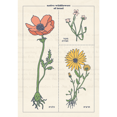 גלויה : Botanical Chart, 5