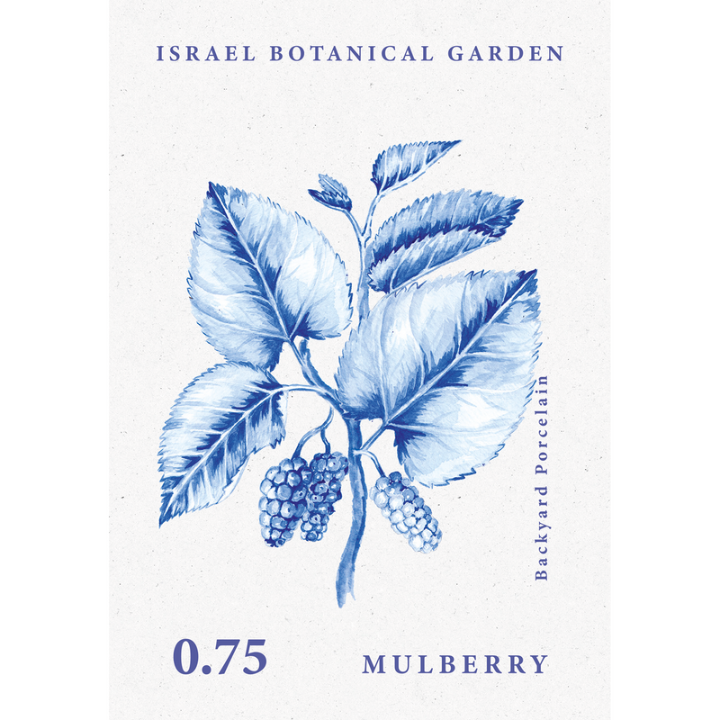 גלויה : Backyard Porcelain, Mulberry