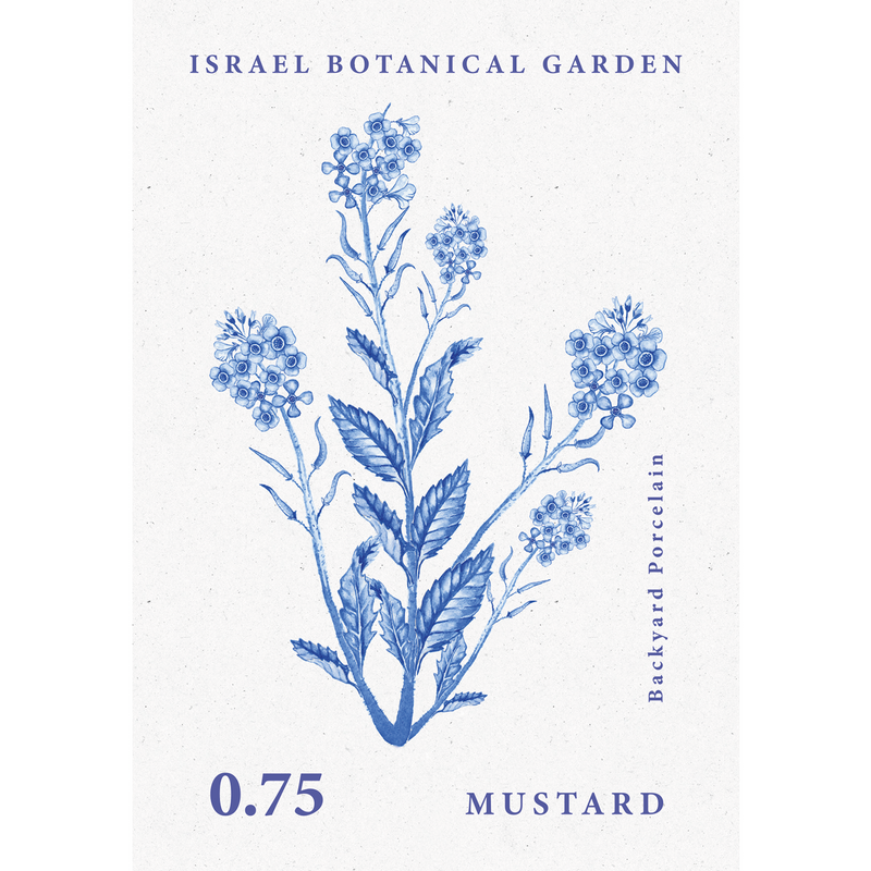 גלויה : Backyard Porcelain, Mustard