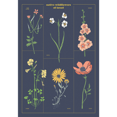 גלויה : Native Flowers