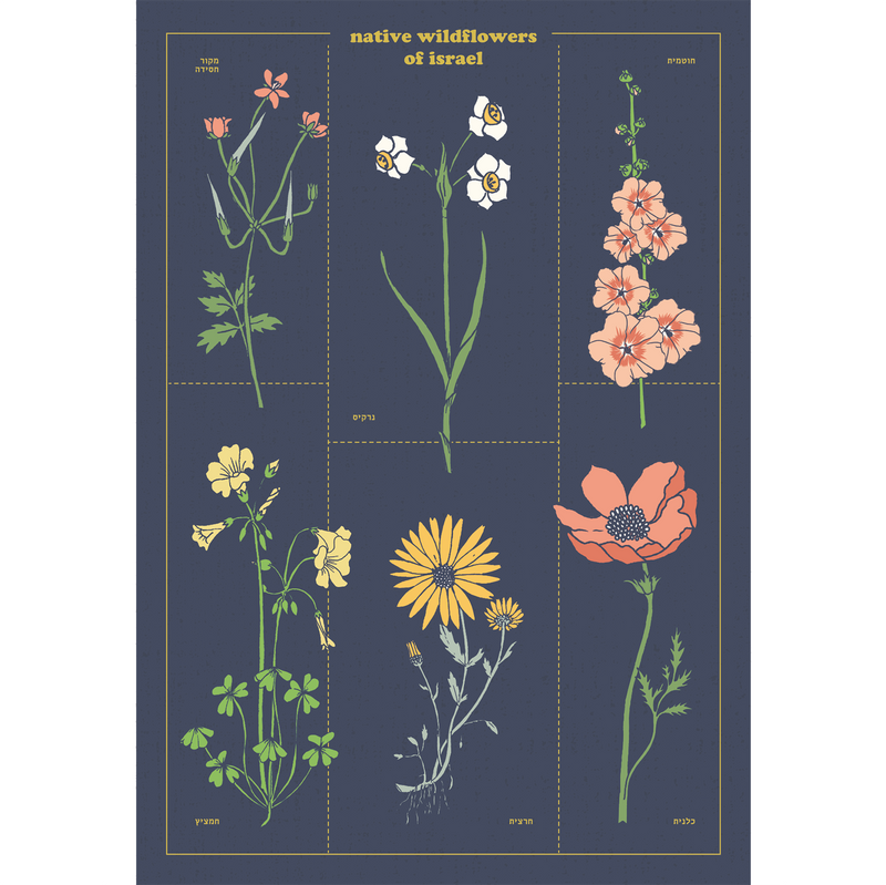 גלויה : Native Flowers