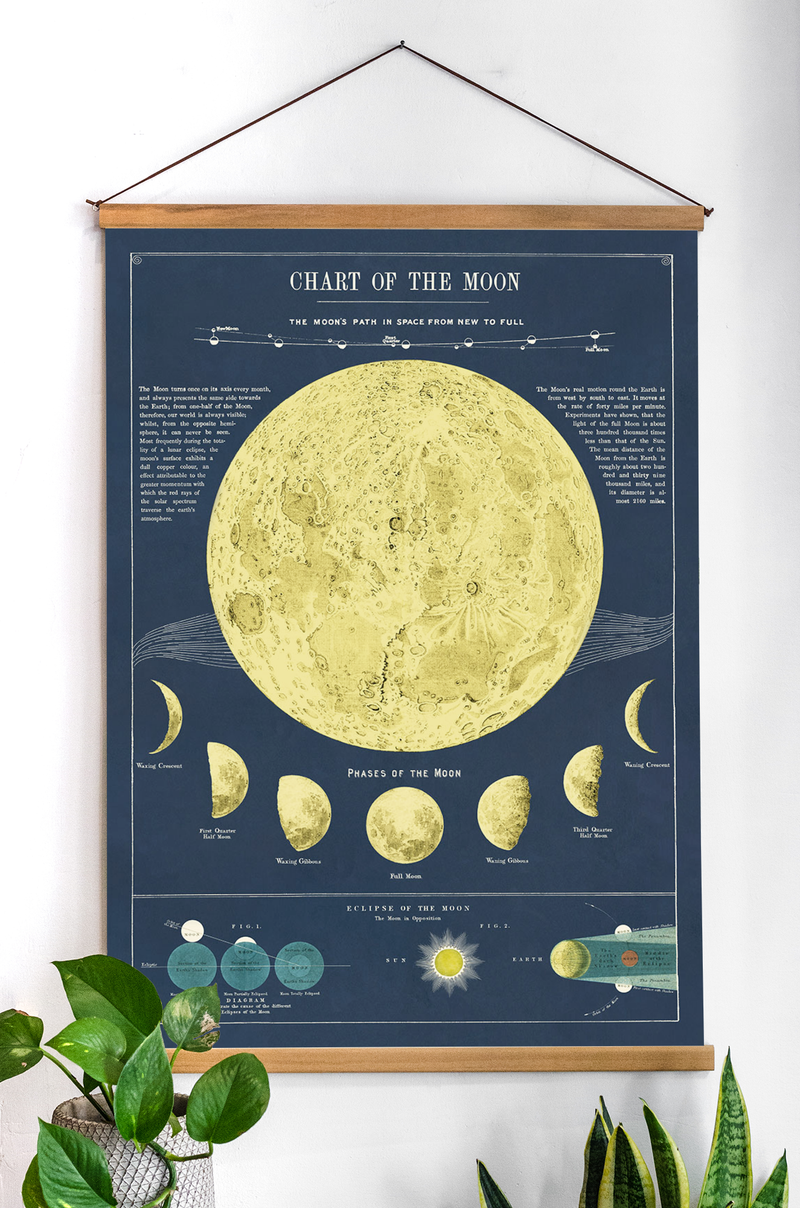 פוסטר : Moon Chart