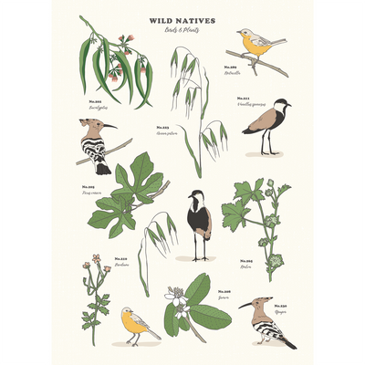 פרינט : Birds & Plants A4