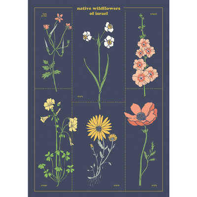 פרינט A3 : Native Flowers
