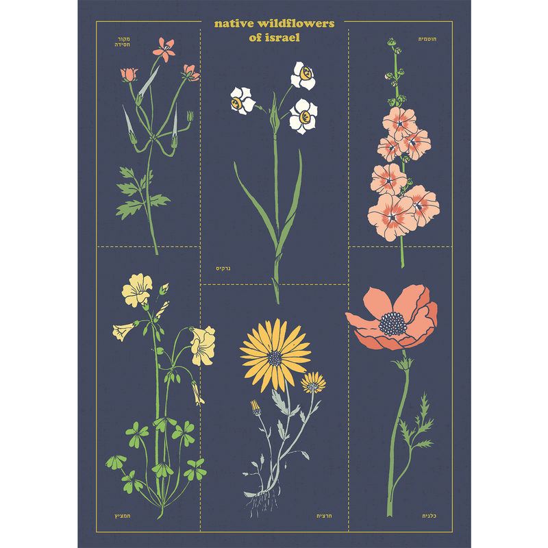 פרינט A3 : Native Flowers