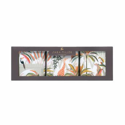 שלישיית קופסאות פח מרובעות: Palm Garden 