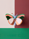 יצירה בנייר : Sycamore Butterfly M