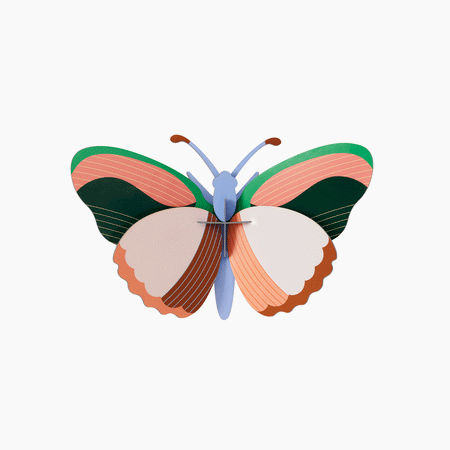 יצירה בנייר : Sycamore Butterfly M