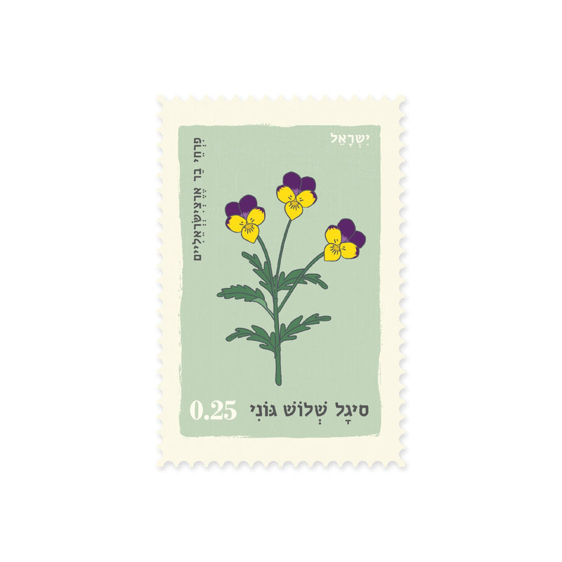 גלויה: Three-tone Sigal