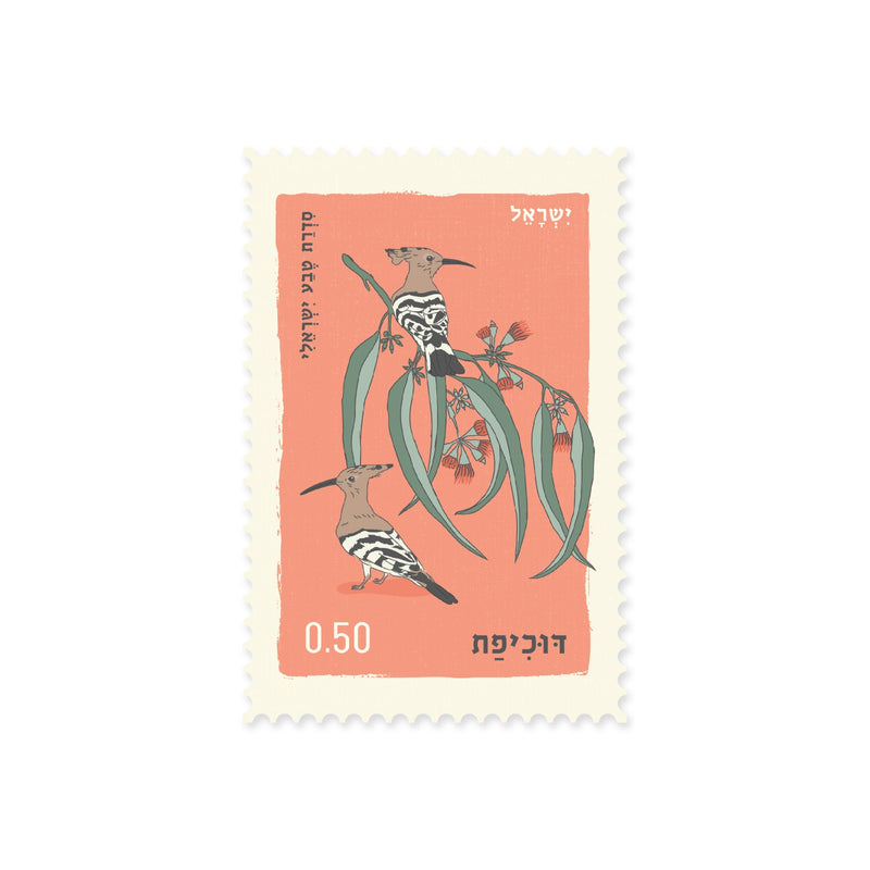 גלויה: Upupa