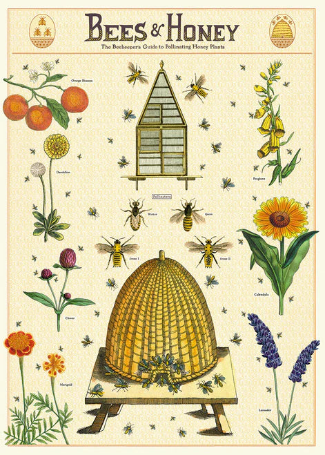פוסטר: Bees & Honey