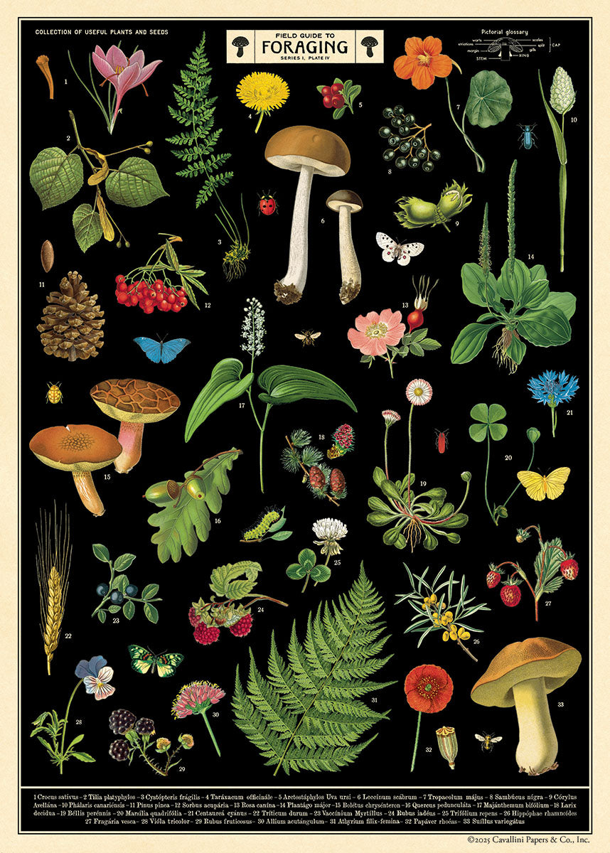 פוסטר: Field Guide to Foraging – Yooletta