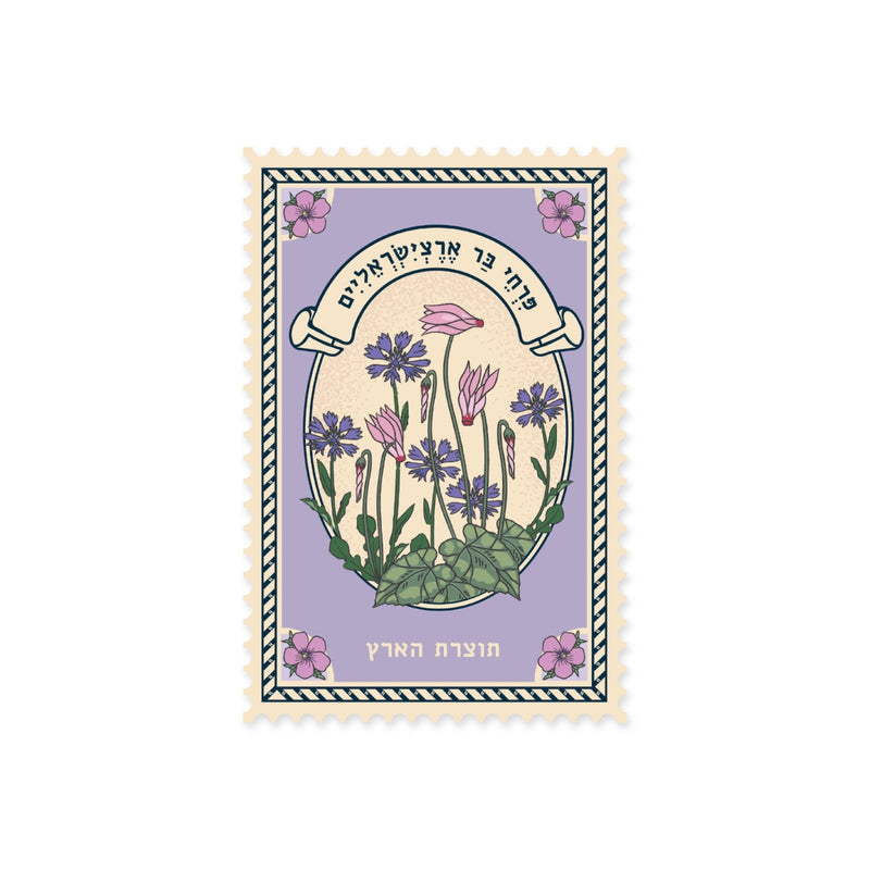 גלויה:Blooming Cyclamen 