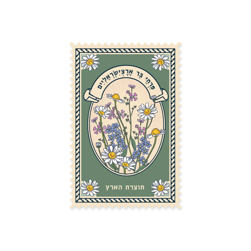 גלויה:Blooming Chrysanthemum