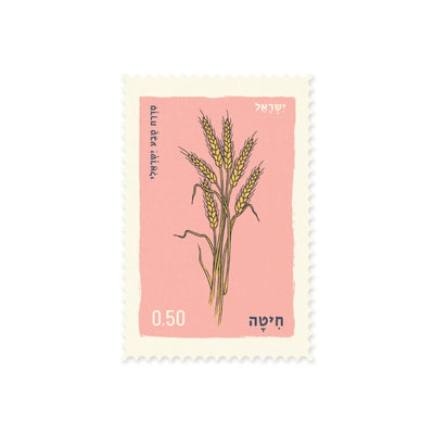 גלויה : Wheat