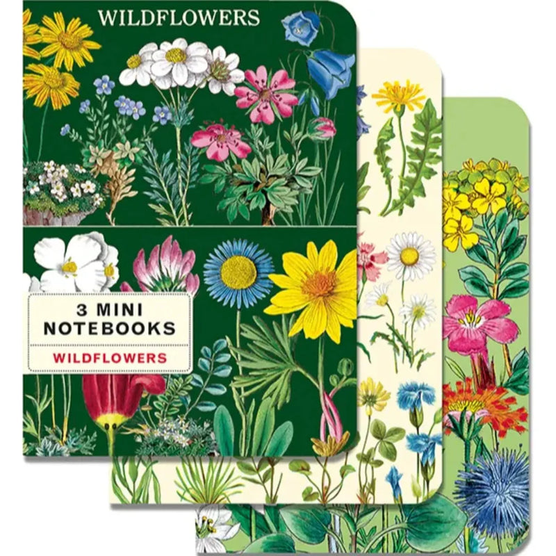 מארז מתנה: Wildflowers 2