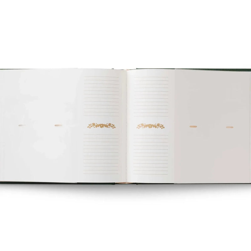 אלבום תמונות רקום: Wildwood