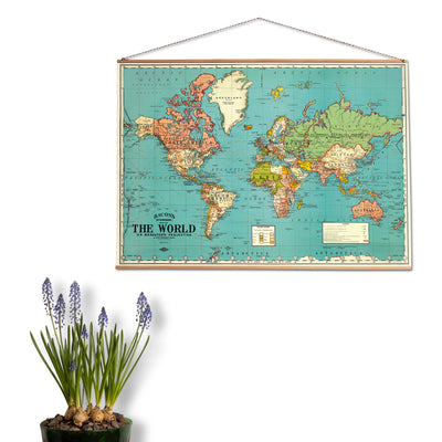 פוסטר: World Map 4