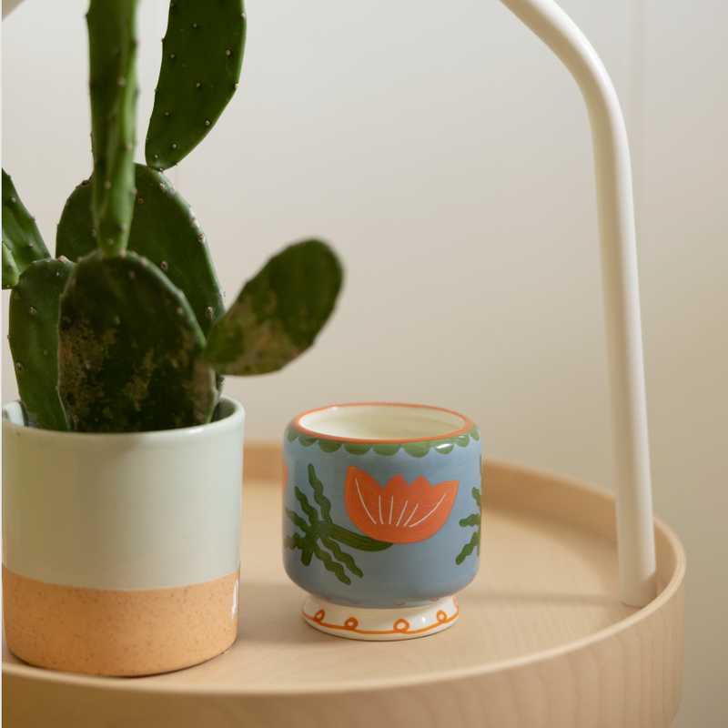 נר: Flower, Cactus Flower