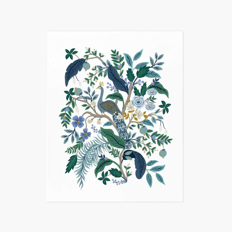 פרינט : Peacock M