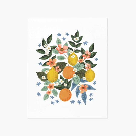 פרינט : Citrus Grove Cluster S