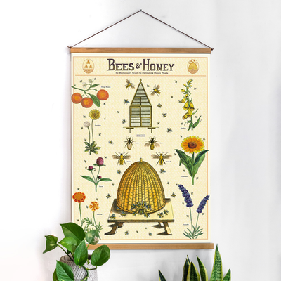 פוסטר: Bees & Honey