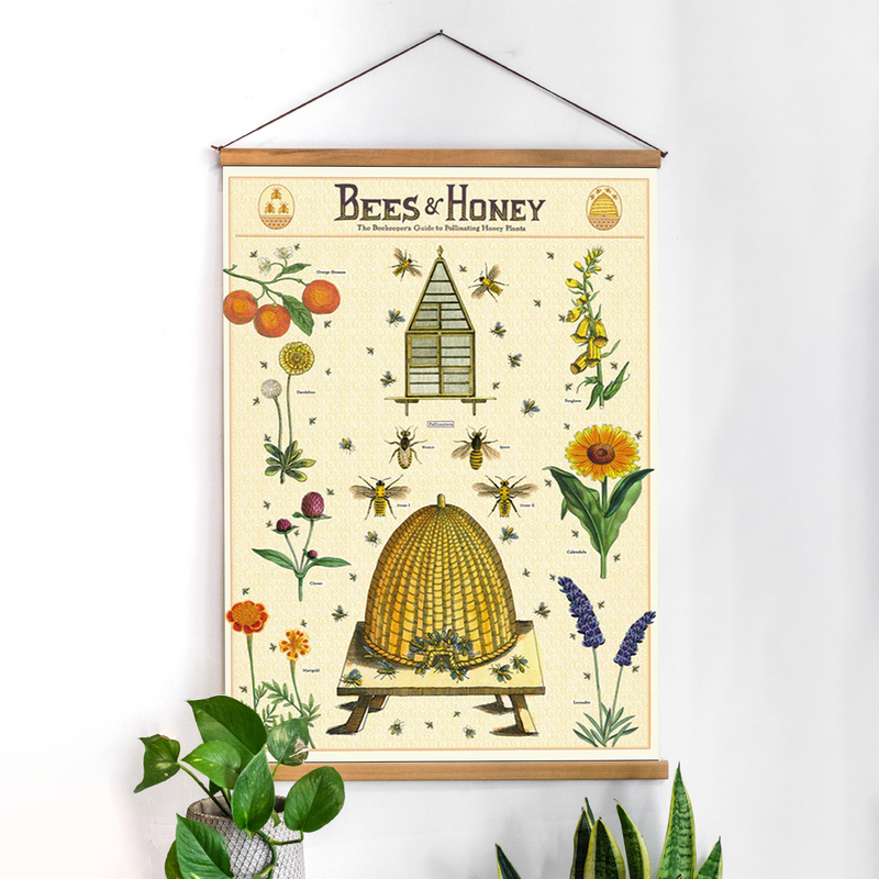 פוסטר: Bees & Honey
