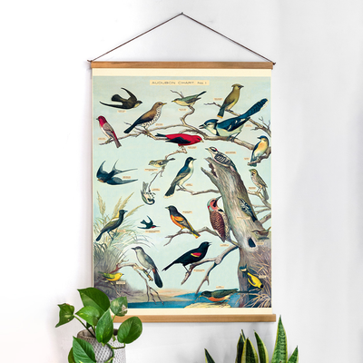 פוסטר: Audubon Birds