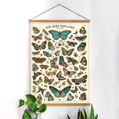 פוסטר: Butterfly Chart