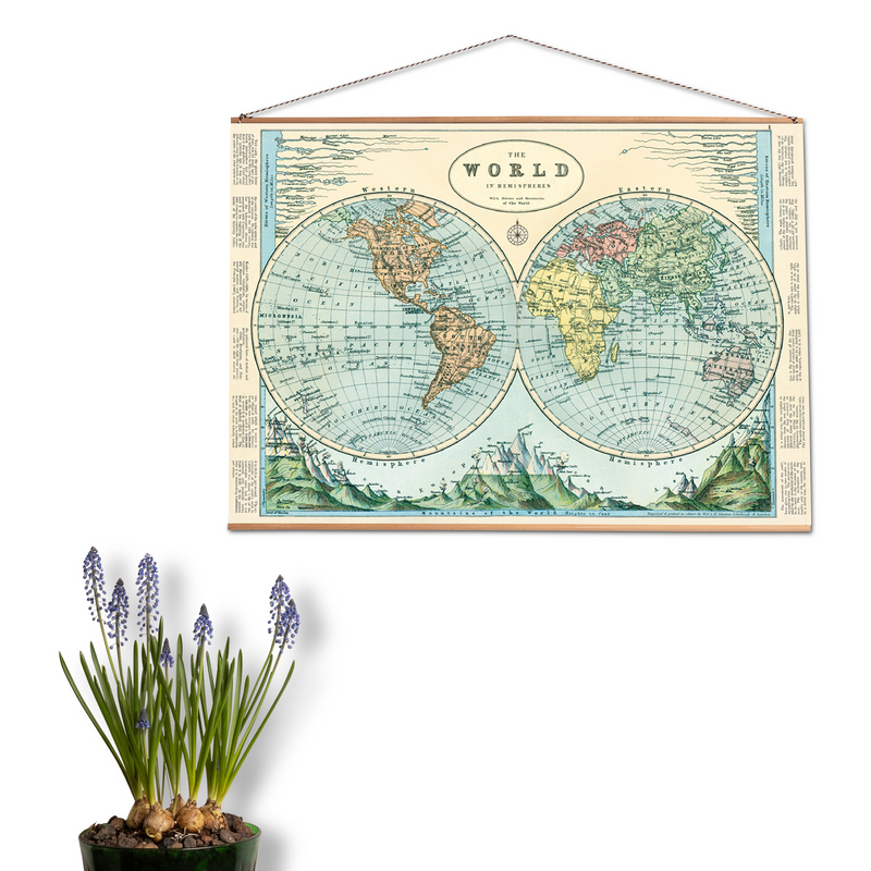 פוסטר: Hemispheres Map 2