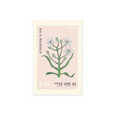 גלויה: Netz Halbi Hareri
